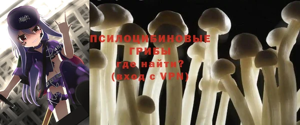 ECSTASY Алзамай