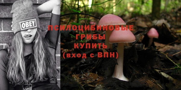 крисы Алексин