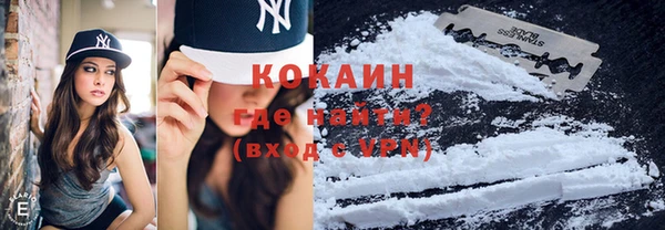 ECSTASY Алзамай