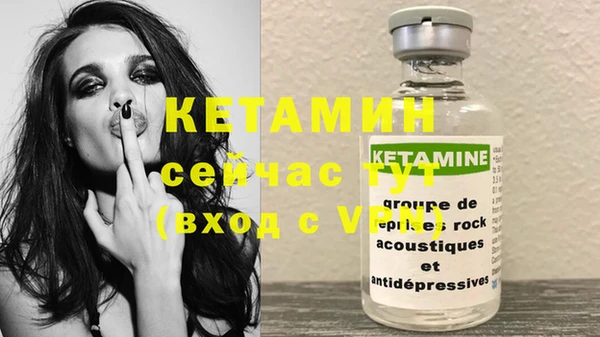 крисы Алексин