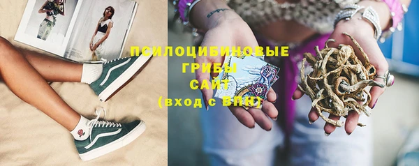 ECSTASY Алзамай