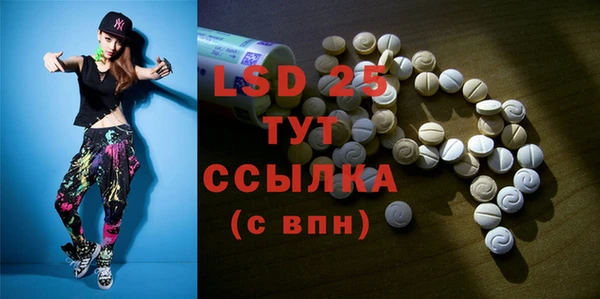ECSTASY Алзамай