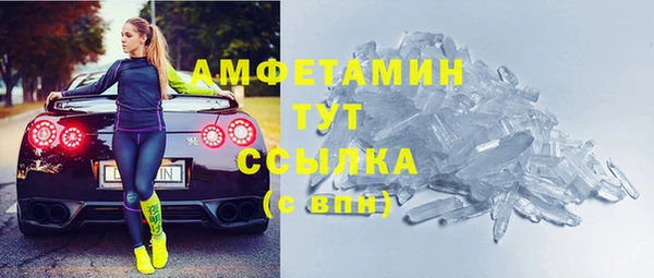 ECSTASY Алзамай